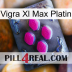 Vigra Xl Max Platinum 02